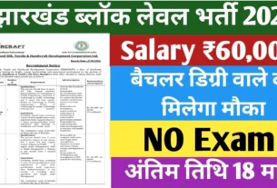 Jharcraft Job Vacancy 2026